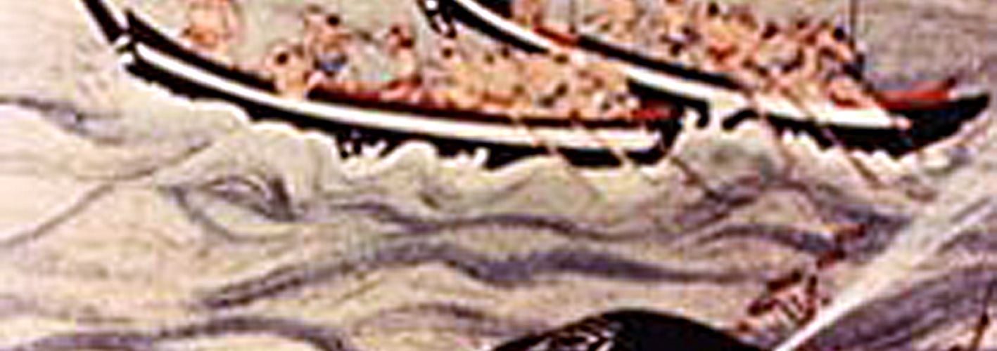 Three Cheers for the Whale