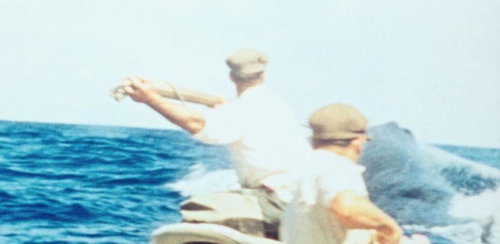 Three Cheers for the Whale