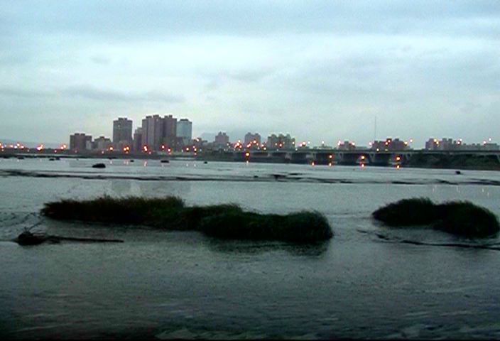 Moonlight on the River