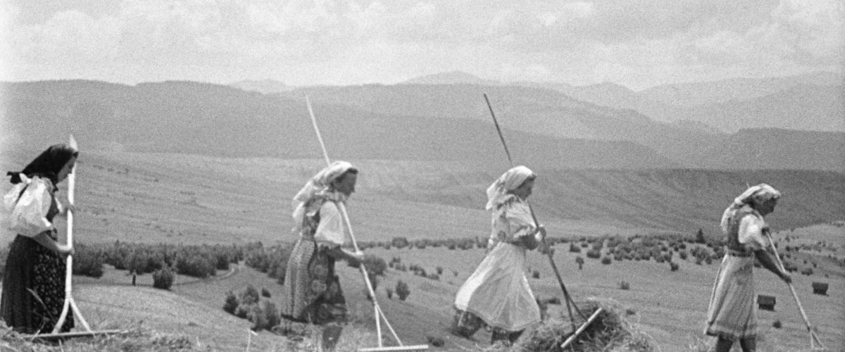 Summer under the Kriváň Mountain