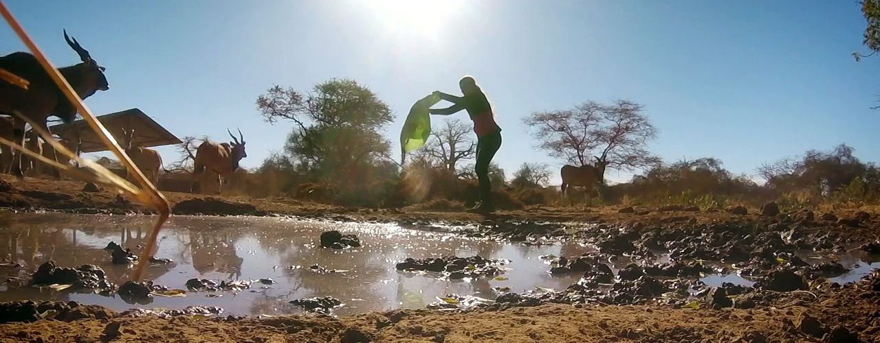 Czechs Save… Antelopes in Senegal