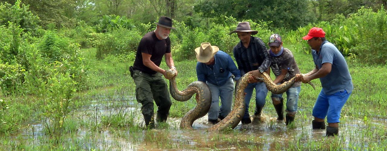 Anaconda – The End of the Myth?