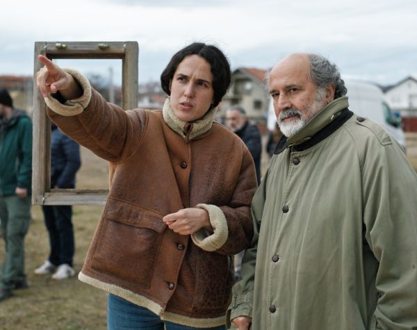 The Beauty of the Donkey