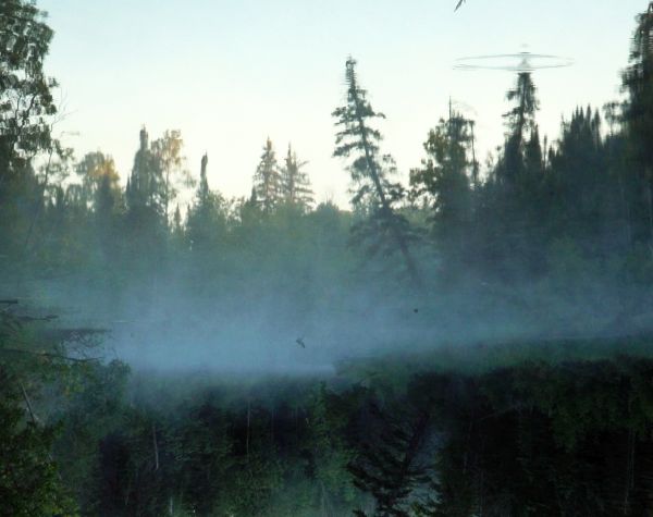 While the Green Grass Grows: A Diary in Seven Parts (parts 5–7)